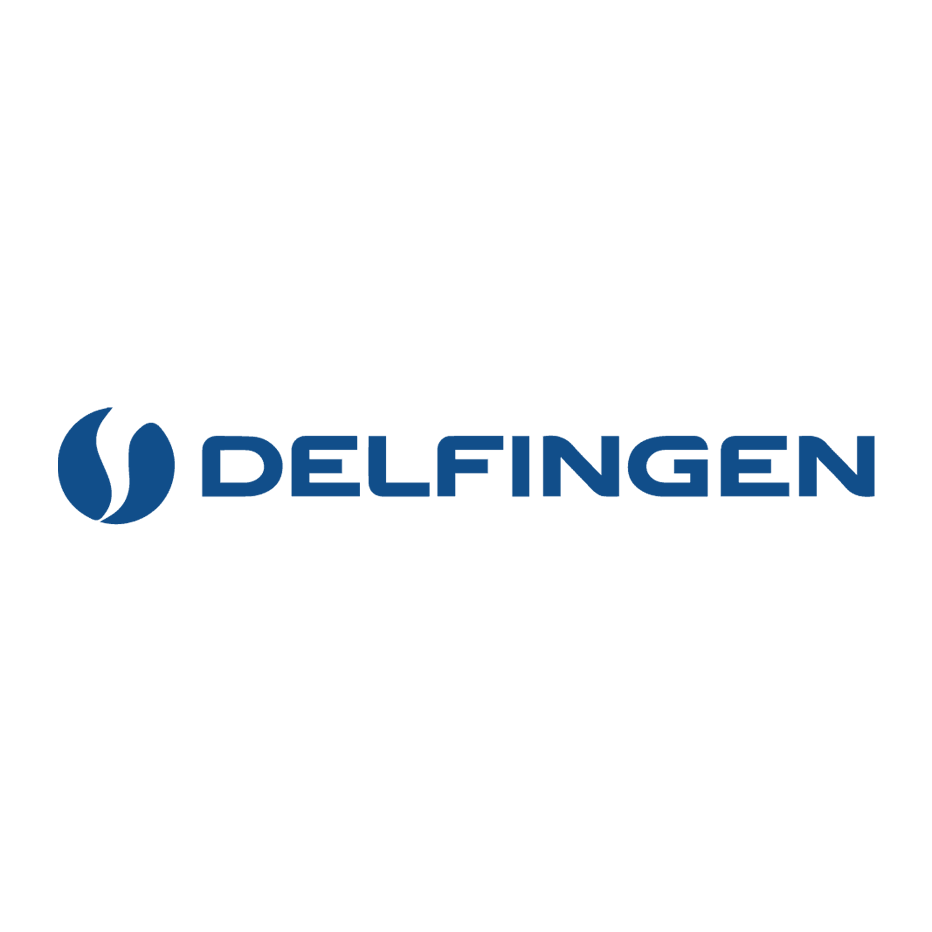 พาร์ทเนอร์ delfingen